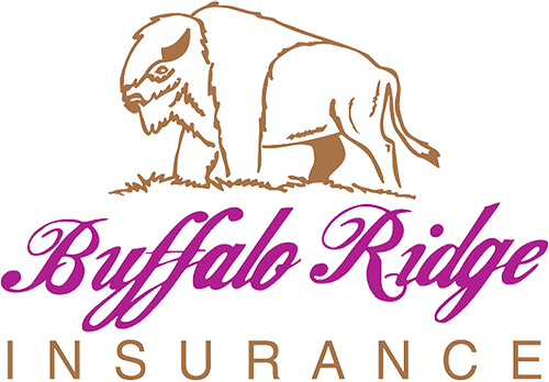 Buffalo Ridge Insurance